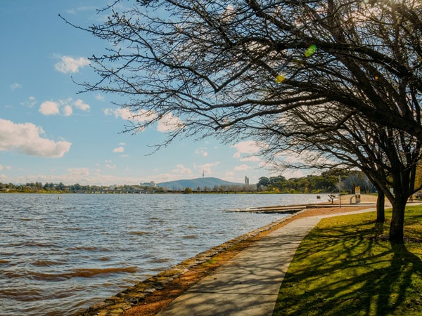 views across Jerrabomberra Wetlands from Grevillea Park