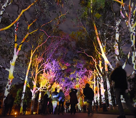 Perth Festival