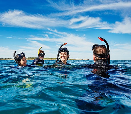 Swim with dolphins WA