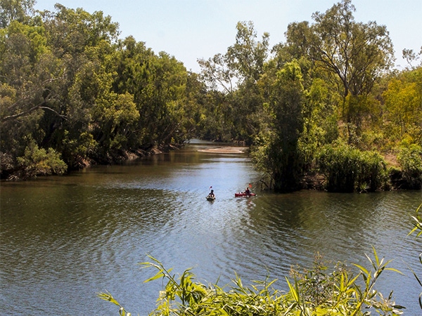 kayak the murray river