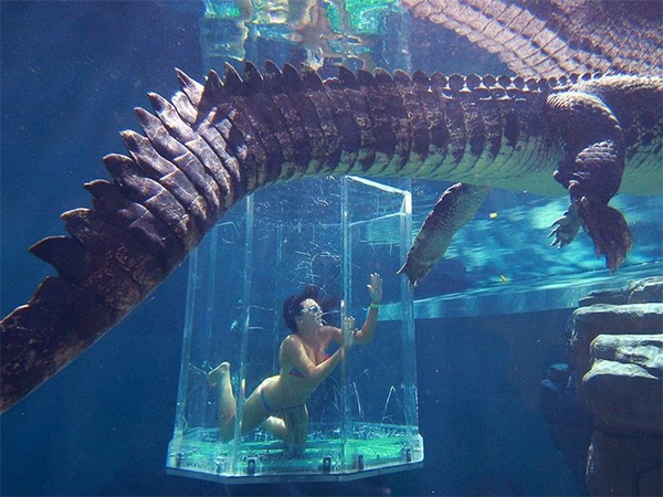 Crocosaurus cove
