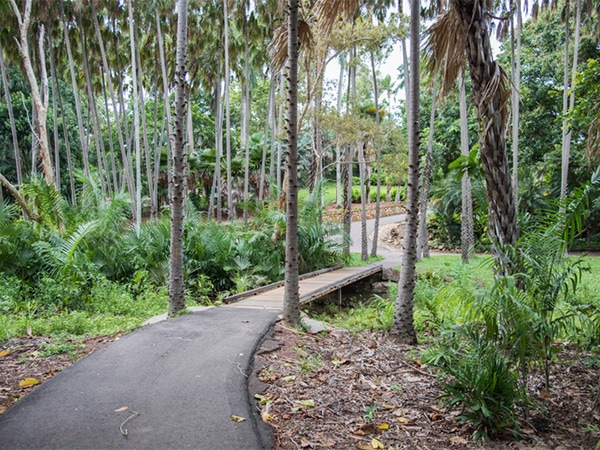 Darwin Botanic Gardens