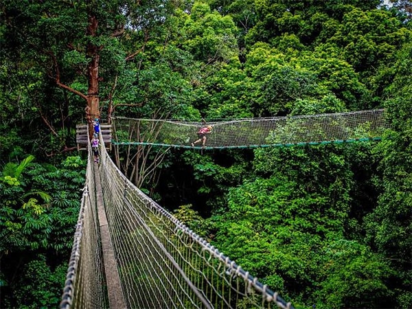 Tamborine Mountain