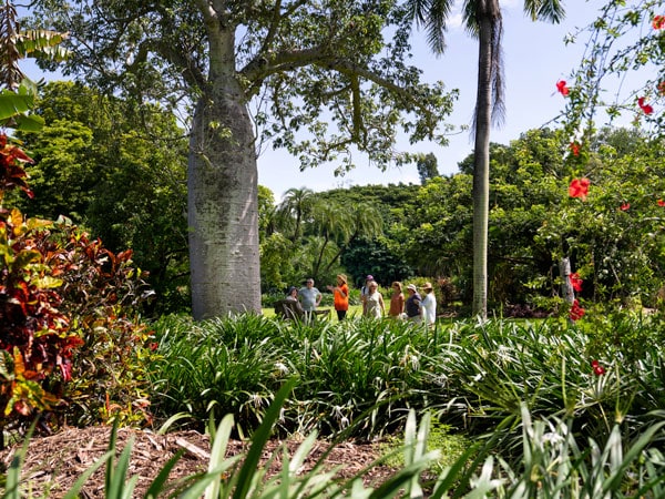 a Darwin Walking Tour in the Botanic Gardens