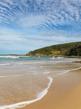 Top 10 Beaches on the Central Coast | Australian Traveller