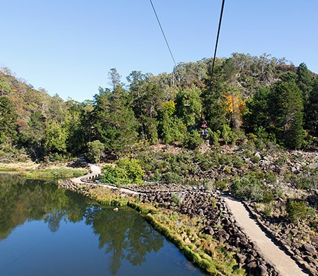 Cataract Gorge in Launceston