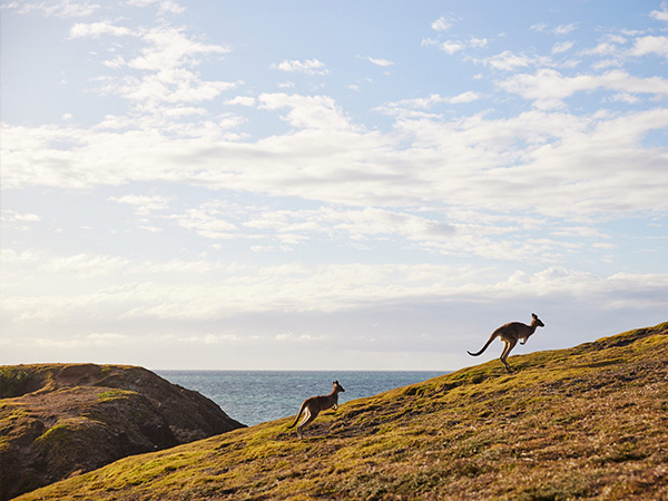 Look At Me Now Headland coffs harbour