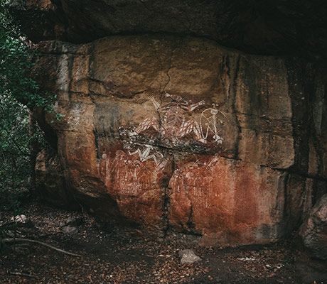 Rock at at Burrungkuy (Nourlangie)