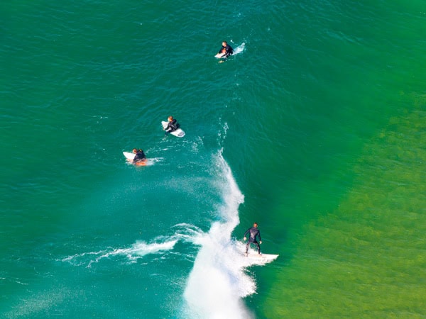 Aerial of surfers on North Avoca beach, Central Coast.