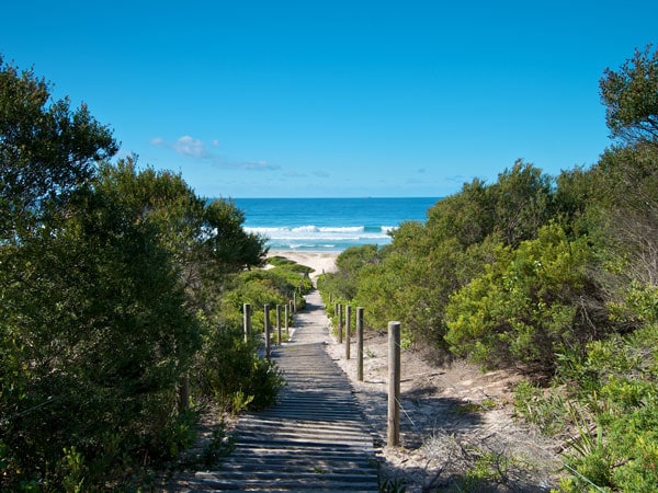 Pelican Beach rd lookout, Wyrrabalong National Park
