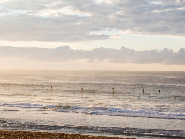 Surfers enjoying a morning out in the water off ShellyBeach on the Central Coast.