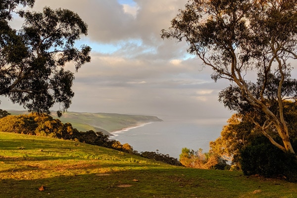 Southern Ocean Walk