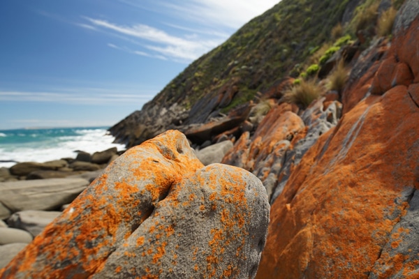 Southern Ocean Walk
