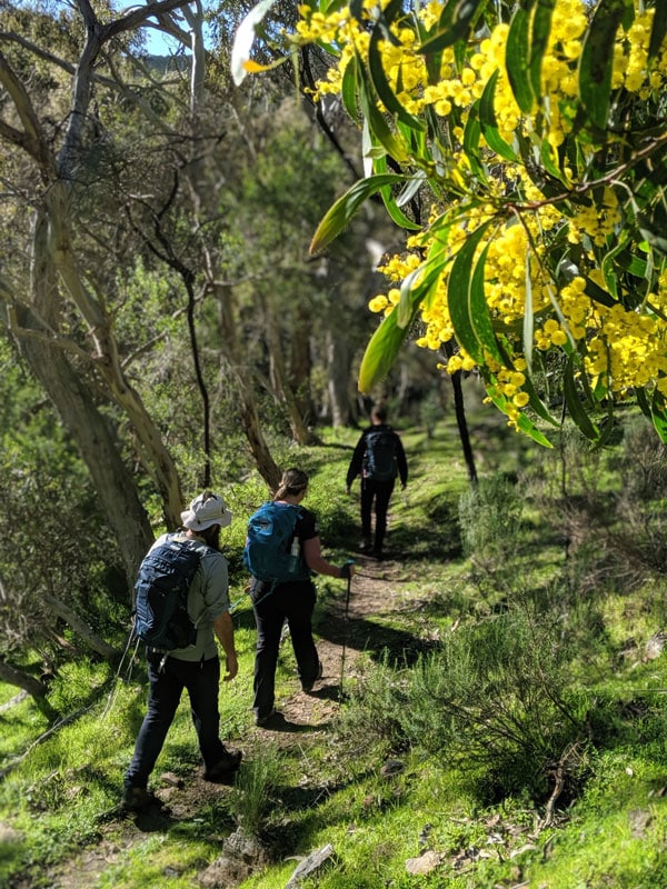 Southern Ocean Walk