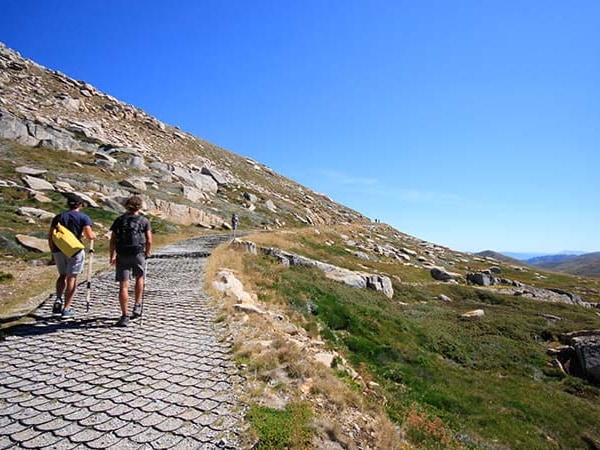 SNOWY MOUNTAINS AND MOUNT KOSCIUSZKO WALK