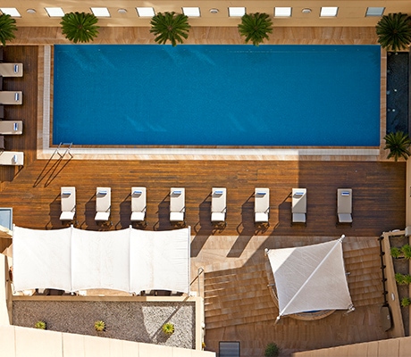 Swissotel rooftop pool