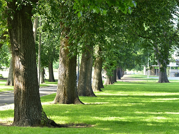 Edinburough Gardens
