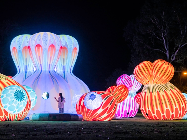 Cupid's Koi Garden at Sydney Festival