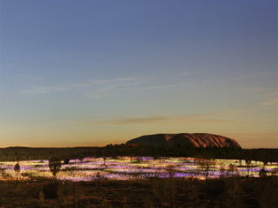 The 10 biggest things to happen in Australian travel this decade