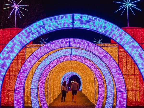 The Magic Castle at Hunter Valley Garden's Christmas Light Spectacular
