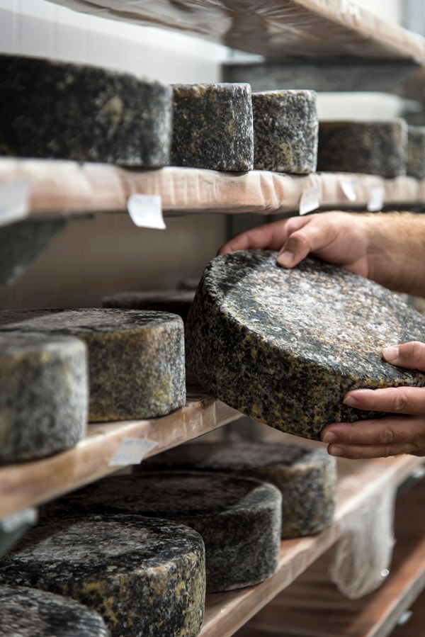 Ashgrove Cheese