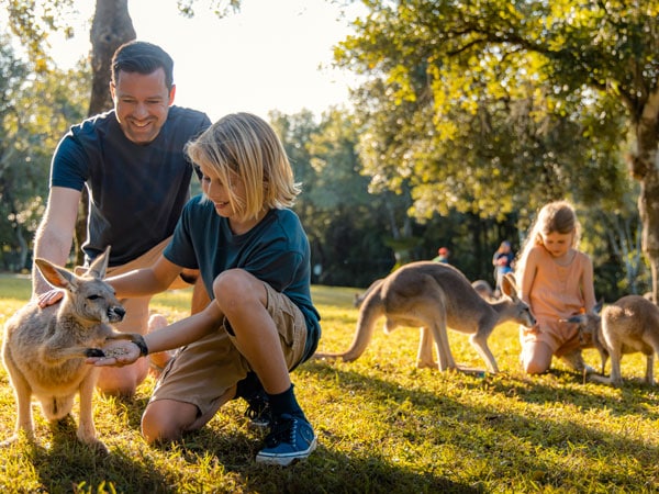 a father with his two children feeding animals in Australia Zoo