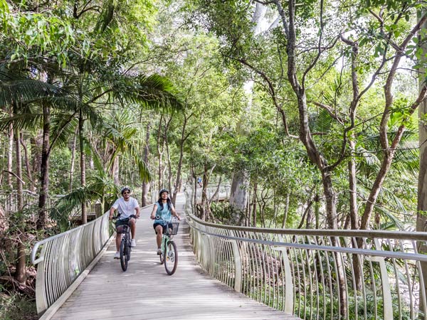 Two people riding bikes on boardwalk in Noosa.