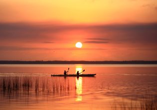 The 14 best things to do in Noosa with kids