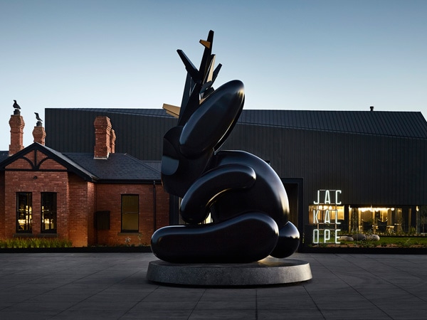 Jackalope is set in the Willow Creek Vineyard