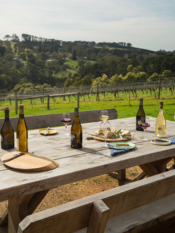 wine tasting at Kerri Greens with a scenic view of the Paringa Valley