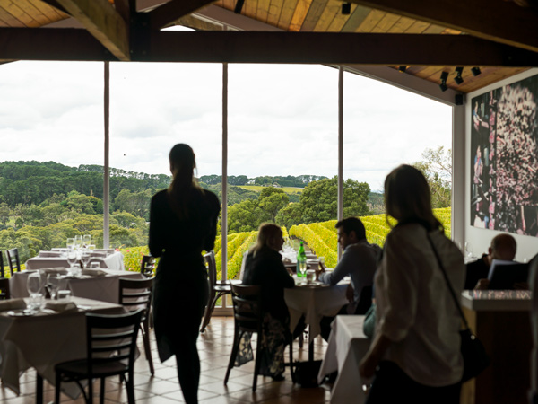 a restaurant with floor-to-ceiling windows reflecting the Paringa Estate vineyard