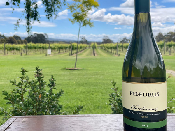 the wine at Phaedrus Estate, Mornington Peninsula