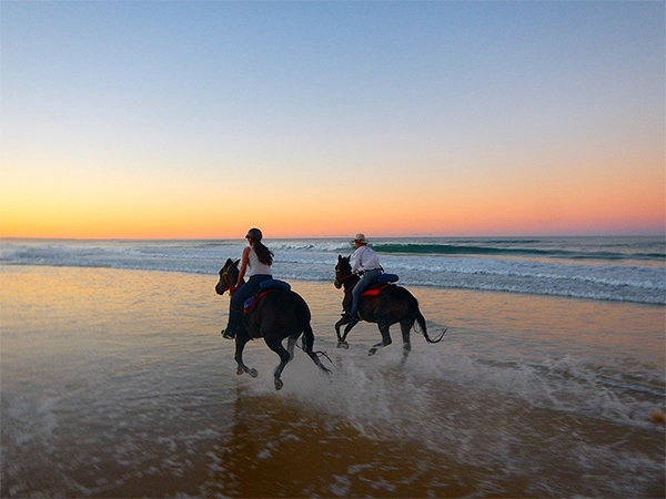 Rainbow Beach Horse Rides run a bareback ocean ride Noosa