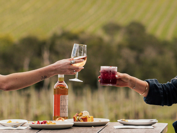 hands raising wine glasses at Rare Hare, Willow Creek Vineyard