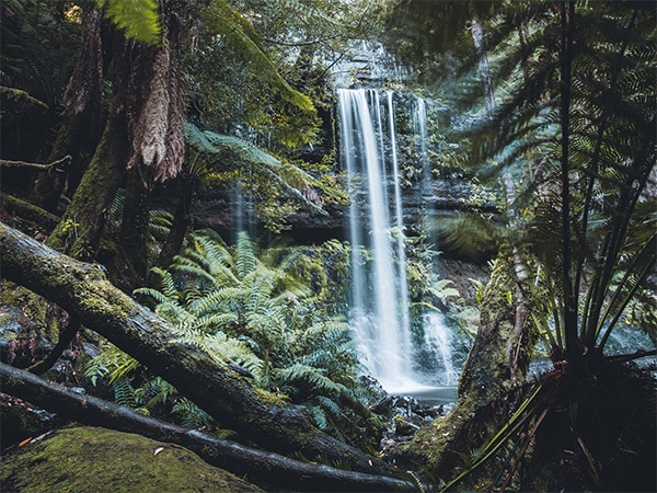 Russell Falls