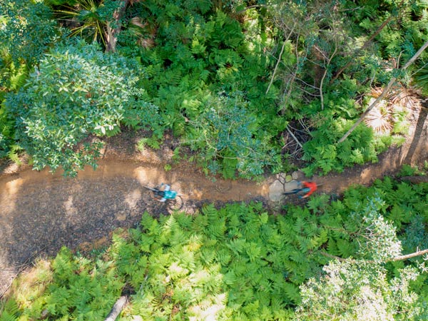 Aerial shot of cyclists mountain biking in Wooroi