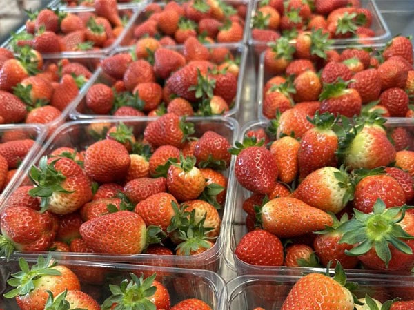hillwood berries