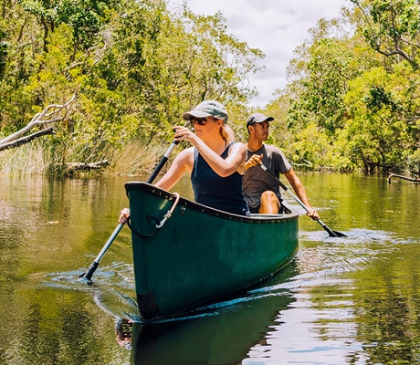 Noosa Everglades canoe