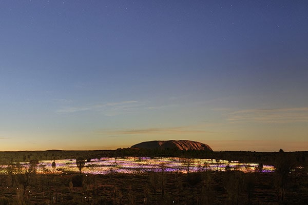 Field-of-light-with-uluru