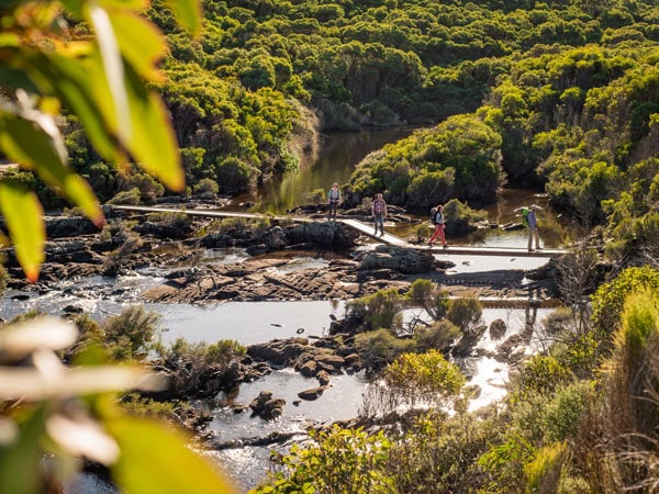 hikers passing through a forested path at Kangaroo Island Wilderness Trail