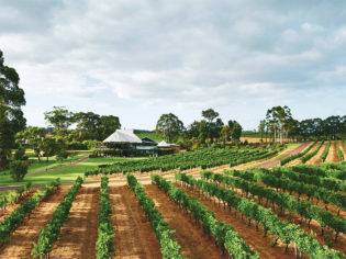 The best wineries and restaurants in Margaret River