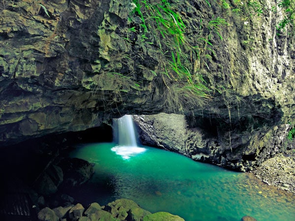 a hidden waterfall at Springbrook National Park