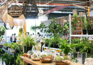 8 of the best things to do in Stafford, Queensland