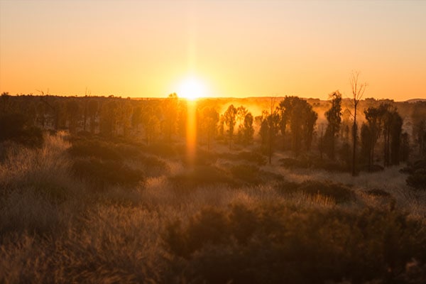 Desert sunrise