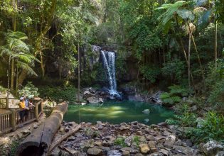 Curtis Falls Walking Track Tamborine National Park Gold Coast Hinterland