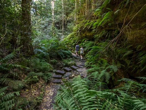 Grand Canyon Walk, Blackheath, NSW