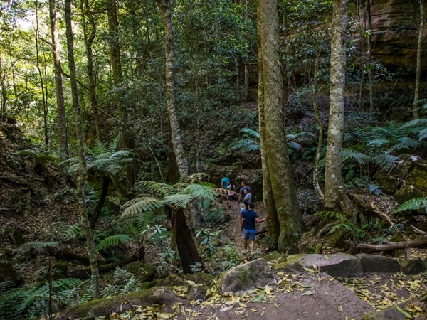 Grand Canyon Walk, Blackheath, NSW