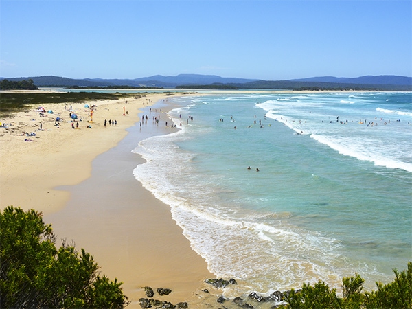 Thousands flock to Sydney's beaches to bask in 29 degree heat