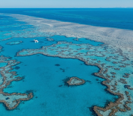 Hamilton Island Heart Reef