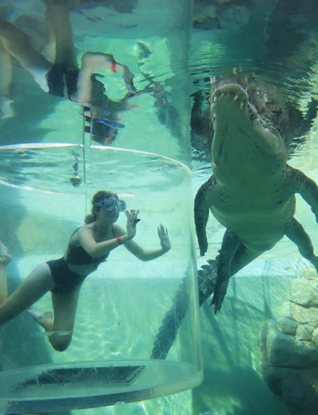 Crocosaurus Cove, Darwin